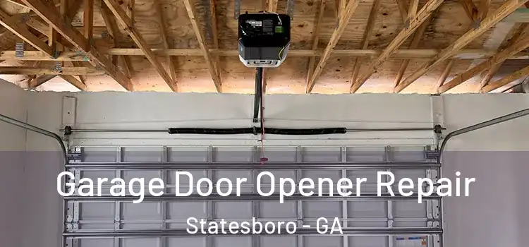  Garage Door Opener Repair Statesboro - GA