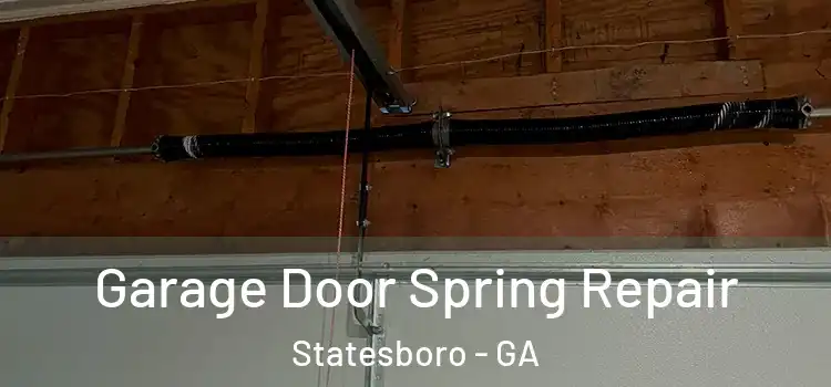 Garage Door Spring Repair Statesboro - GA