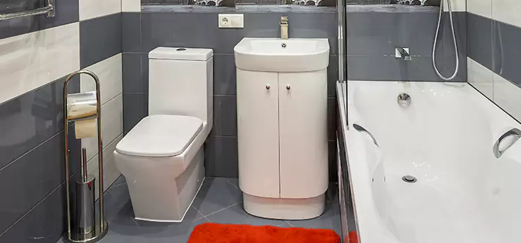 Hansgrohe Shaving Mirror Statesboro